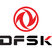 DFSK Logo