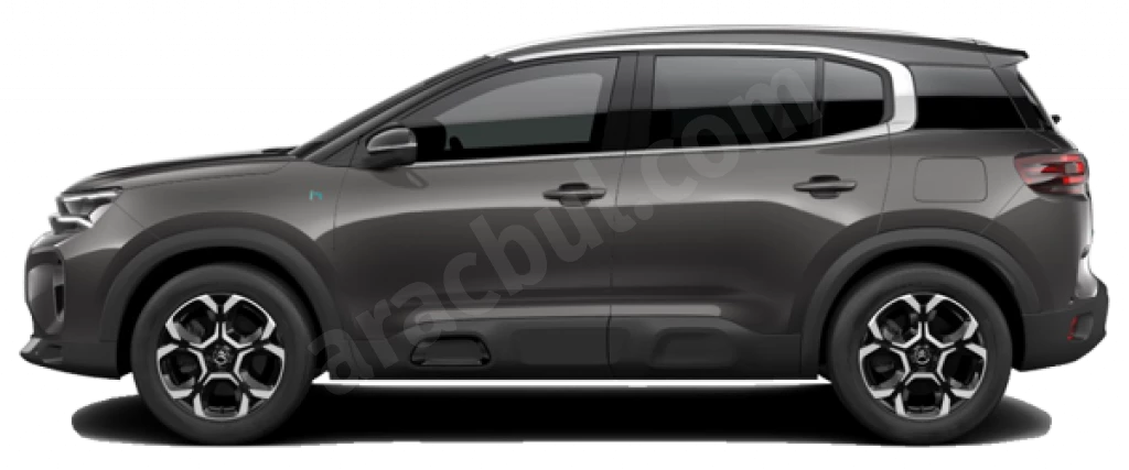 C5 Aircross Metalik Platin Gri