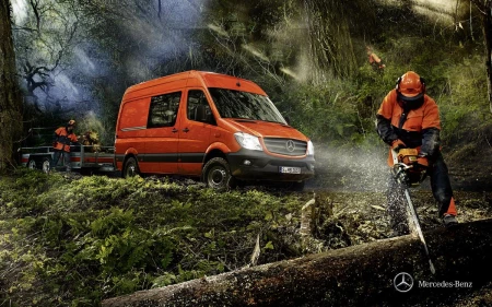 Sprinter Panelvan resim