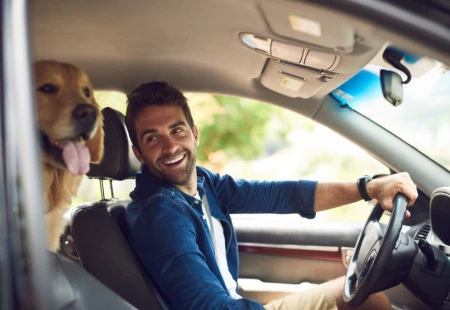 Otomobilinizde Evcil Hayvanınızla Seyahat Ederken Nelere Dikkat Edilmeli