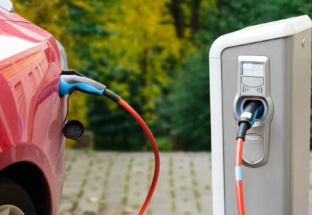 2022 Yılı Elektrikli Araç Satış Adetleri Açıklandı