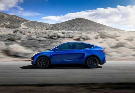 Tesla Model Y’nin Sipariş Sayısı Belli Oldu