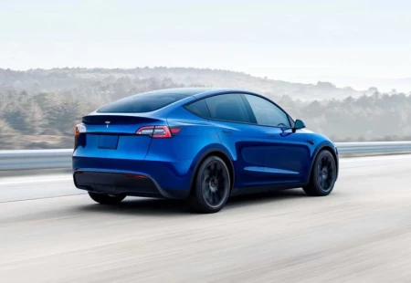 Tesla Model Y’nin Sipariş Sayısı Belli Oldu