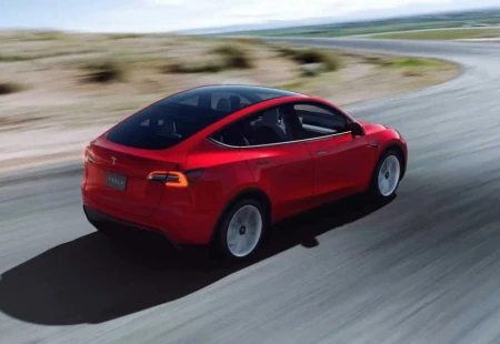 Tesla Model Y’nin Sipariş Sayısı Belli Oldu