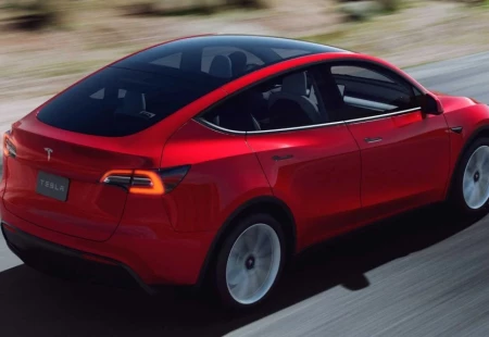 Tesla Model Y’nin Sipariş Sayısı Belli Oldu