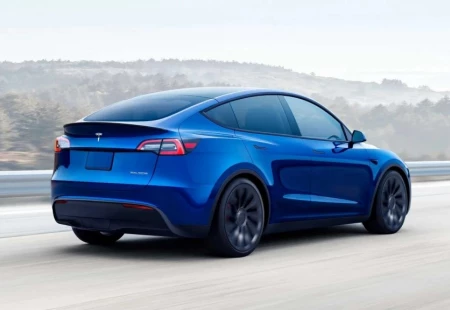 Tesla Model Y’nin Sipariş Sayısı Belli Oldu