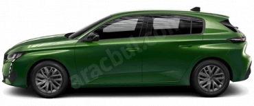 Olivin Yeşili E-308