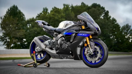 R1M resim