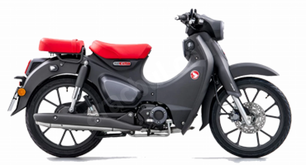 Super Cub C125 Gri