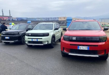 Grande Panda Çeşitleniyor