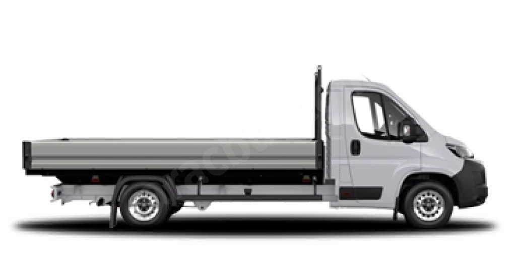 Proace Max Kamyonet
