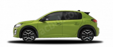 agueda sarısı E-208