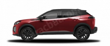 Elixir Kırmızısı E-2008