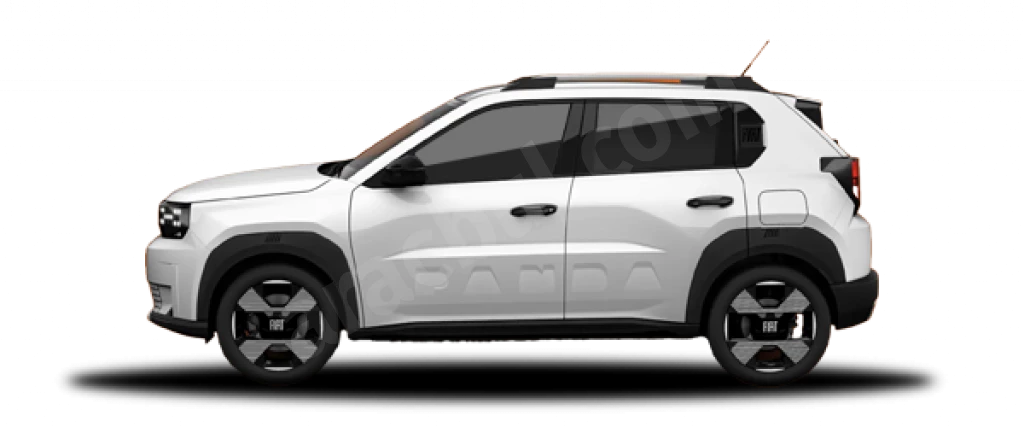 Grande Panda Buz Beyazı