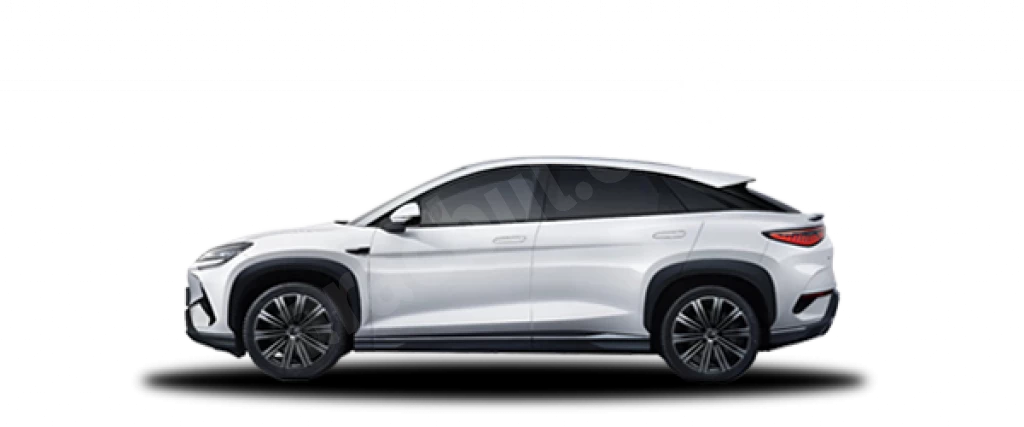 Sealion 7 Kutup Beyazı