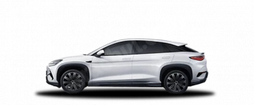 Kutup Beyazı Sealion 7