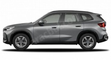 Metalik Gri Pure İX1