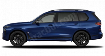 Metalik Mavi Tanzanite X7