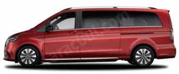 Sümbül Kırmızısı EQV