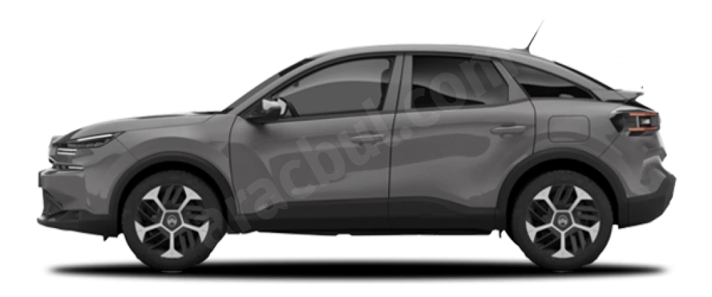 e-C4 Cıva Gri Metalik