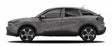 Cıva Gri Metalik e-C4