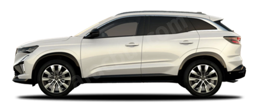 Austral Sedef Beyazı