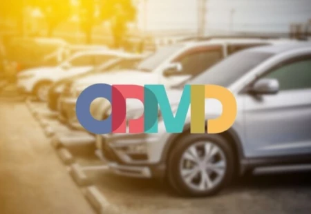 ODMD 2025 Aralık Raporu