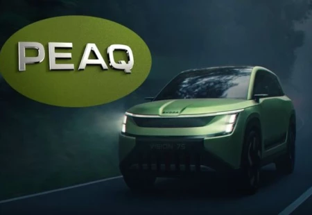 Skoda’nın Yeni Peak Modeli