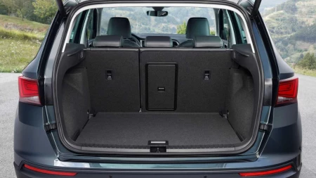 Ateca resim