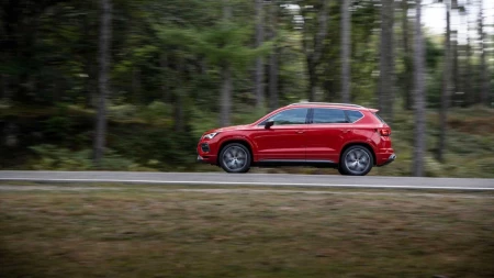 Ateca resim