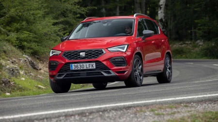 Ateca resim