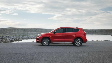 Ateca resim