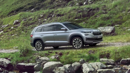 Kodiaq resim