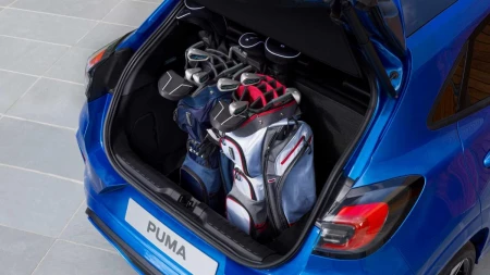 Puma resim