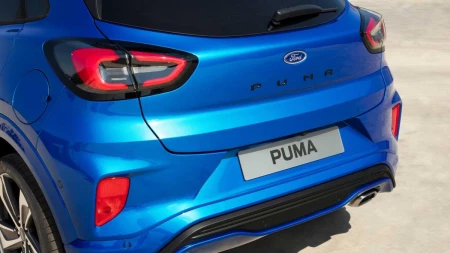 Puma resim