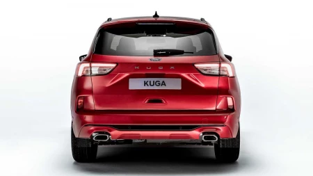 Kuga resim